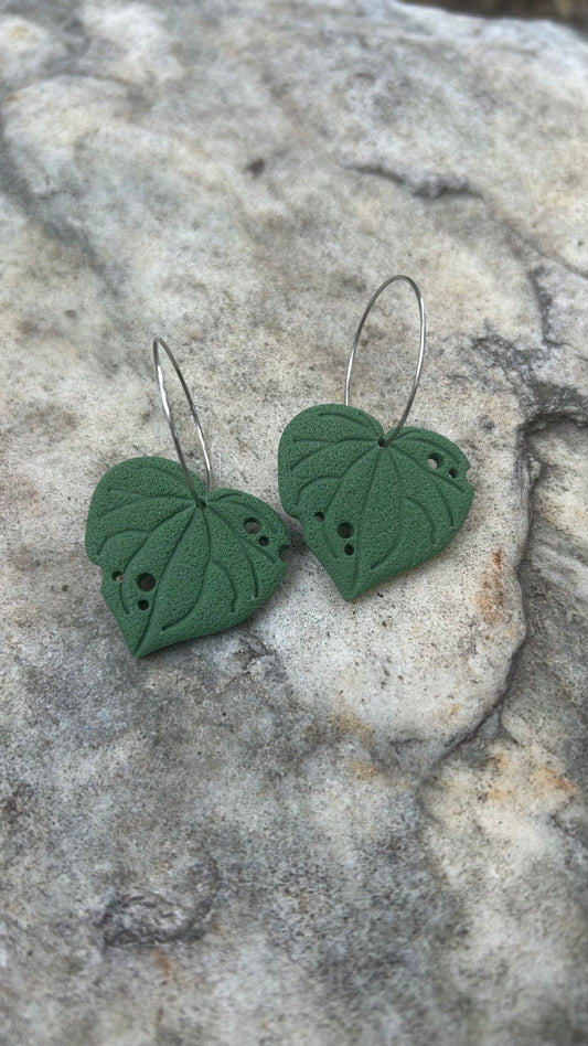 Kawakawa leaf
